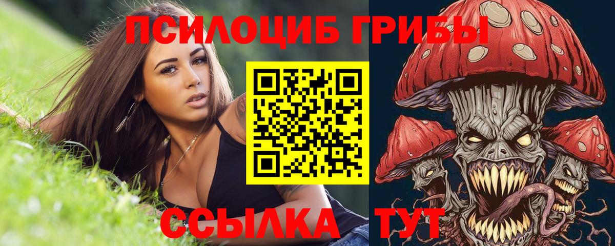 Псилоцибиновые грибы Psilocybine cubensis  Вход с VPN  Псилоцибиновые грибы Cubensis  Узловая 
